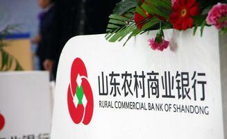 农商行最新爆料,揭秘金融行业变革背后的秘密!”